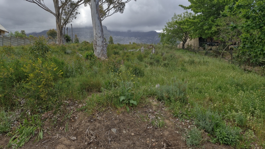 0 Bedroom Property for Sale in Villiersdorp Western Cape